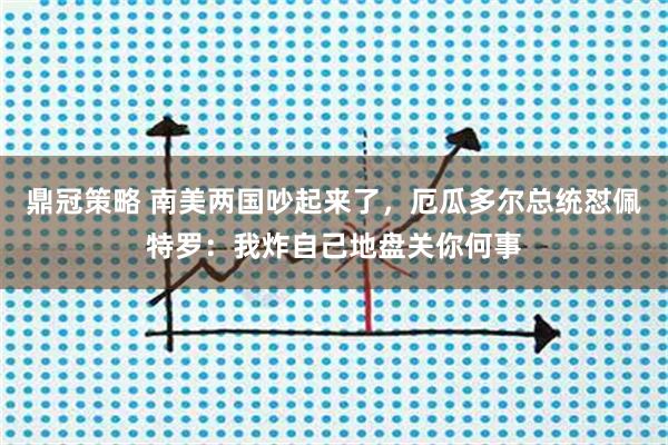鼎冠策略 南美两国吵起来了，厄瓜多尔总统怼佩特罗：我炸自己地盘关你何事