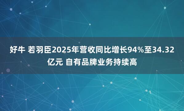 好牛 若羽臣2025年营收同比增长94%至34.32亿元 自有品牌业务持续高