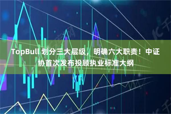TopBull 划分三大层级，明确六大职责！中证协首次发布投顾执业标准大纲