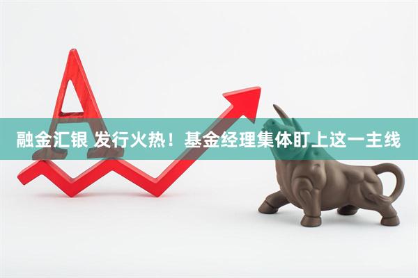 融金汇银 发行火热！基金经理集体盯上这一主线