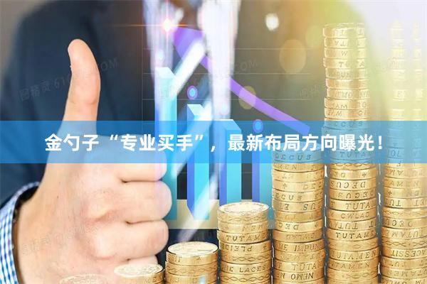 金勺子 “专业买手”，最新布局方向曝光！
