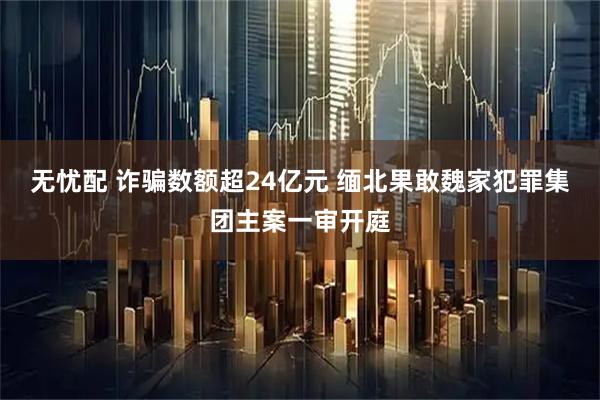 无忧配 诈骗数额超24亿元 缅北果敢魏家犯罪集团主案一审开庭