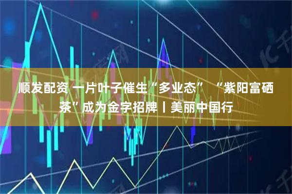 顺发配资 一片叶子催生“多业态”  “紫阳富硒茶”成为金字招牌丨美丽中国行