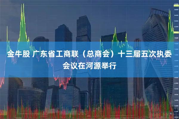 金牛股 广东省工商联(总商会)十三届五次执委会议在河源举行