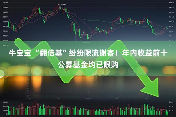 牛宝宝 “翻倍基”纷纷限流谢客!年内收益前十公募基金均已限购