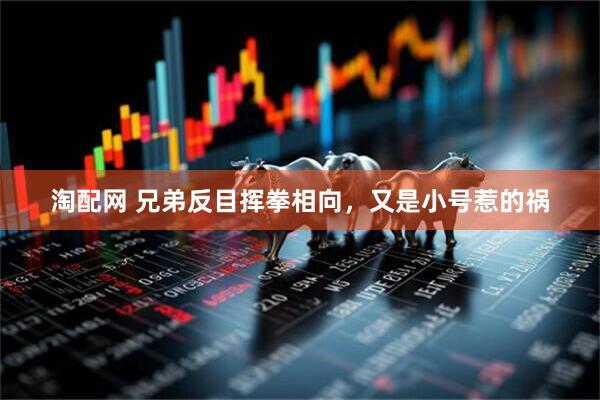 淘配网 兄弟反目挥拳相向,又是小号惹的祸
