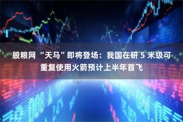 股粮网 “天马”即将登场：我国在研 5 米级可重复使用火箭预计上半年首飞