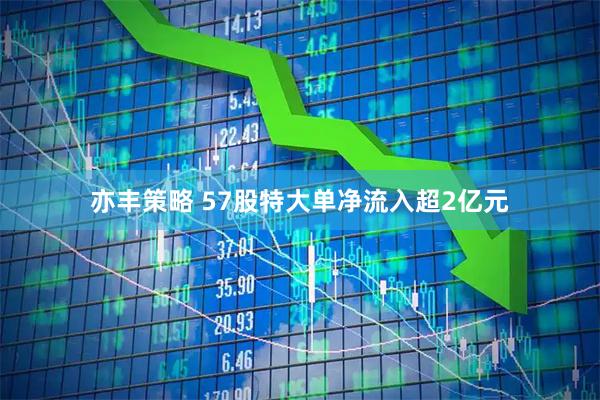 亦丰策略 57股特大单净流入超2亿元