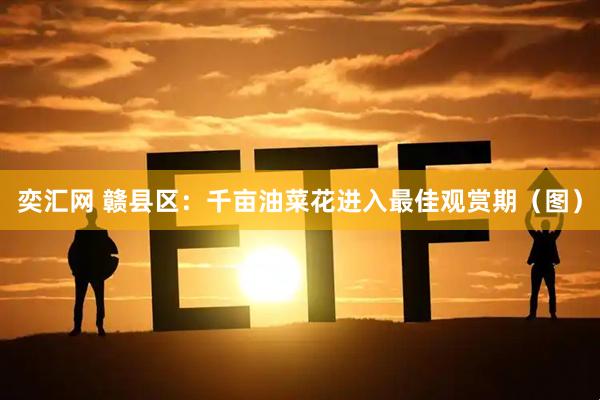 奕汇网 赣县区：千亩油菜花进入最佳观赏期（图）