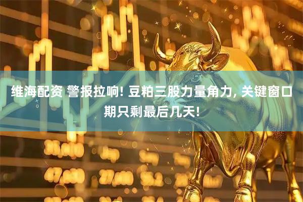 维海配资 警报拉响! 豆粕三股力量角力, 关键窗口期只剩最后几天!