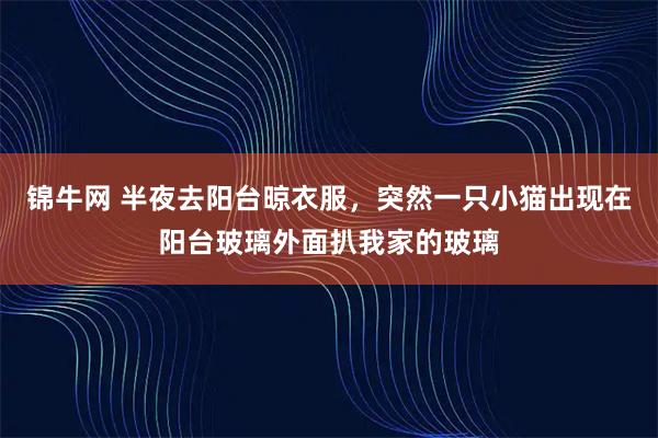 锦牛网 半夜去阳台晾衣服，突然一只小猫出现在阳台玻璃外面扒我家的玻璃