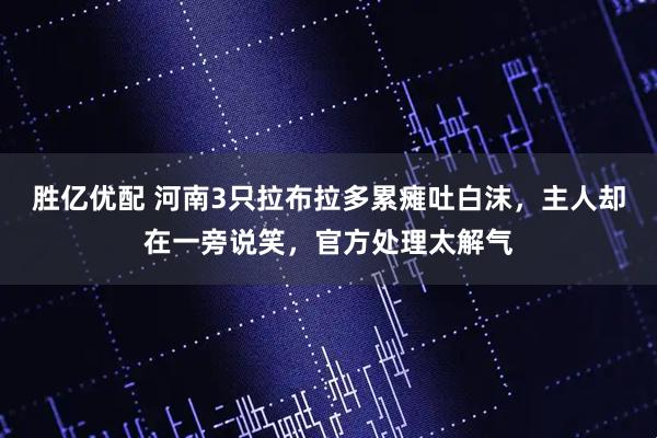 胜亿优配 河南3只拉布拉多累瘫吐白沫，主人却在一旁说笑，官方处理太解气