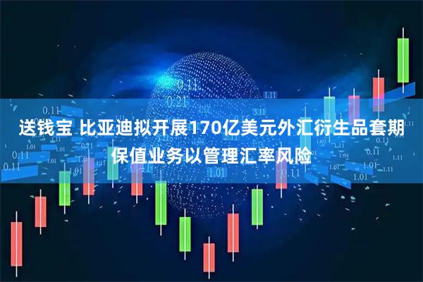 送钱宝 比亚迪拟开展170亿美元外汇衍生品套期保值业务以管理汇率风险