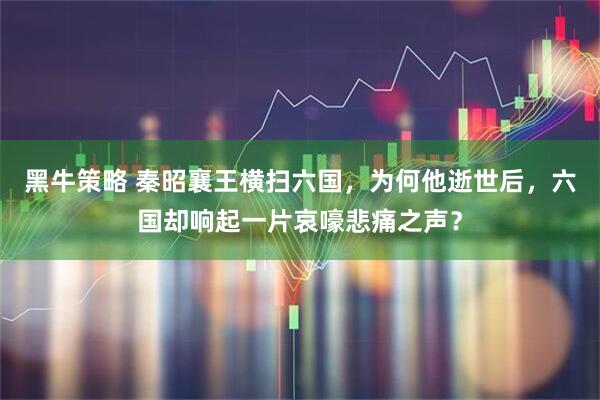 黑牛策略 秦昭襄王横扫六国，为何他逝世后，六国却响起一片哀嚎悲痛之声？