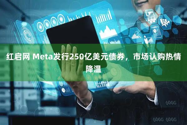 红启网 Meta发行250亿美元债券，市场认购热情降温