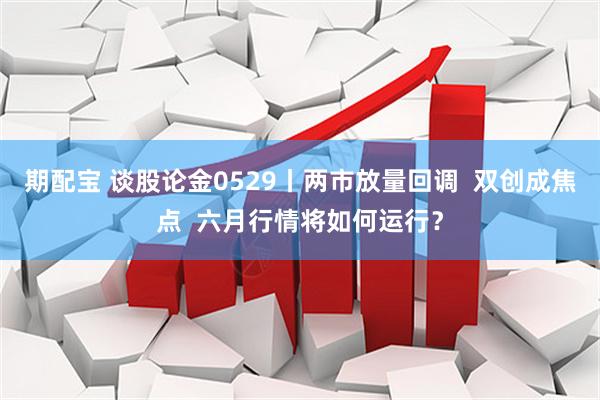 期配宝 谈股论金0529丨两市放量回调  双创成焦点  六月行情将如何运行？