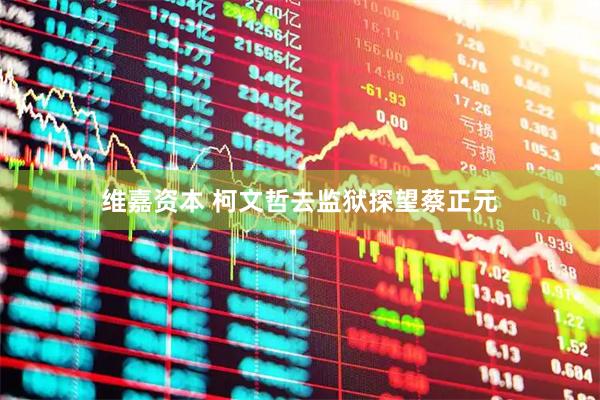 维嘉资本 柯文哲去监狱探望蔡正元