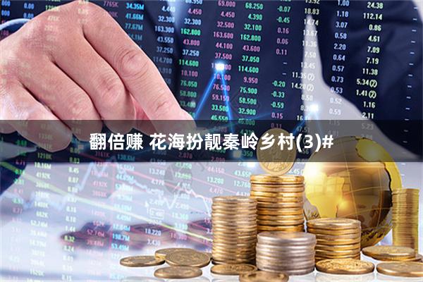 翻倍赚 花海扮靓秦岭乡村(3)#